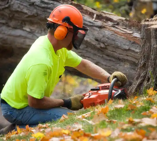 tree services Livonia